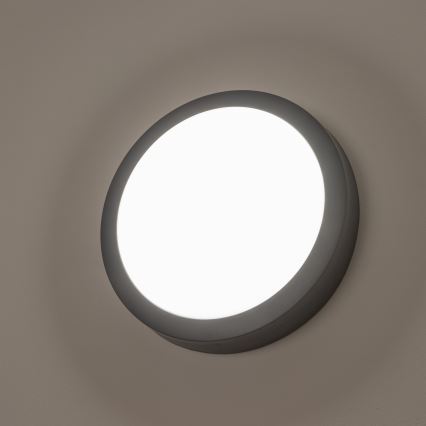 Brilagi - LED Āra griestu lampa LED/20W/230V d. 23 cm IP54 antracīta