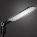 Brilagi - LED āra ielas lampa URBANLIGHT LED/250W/230V melna IP65
