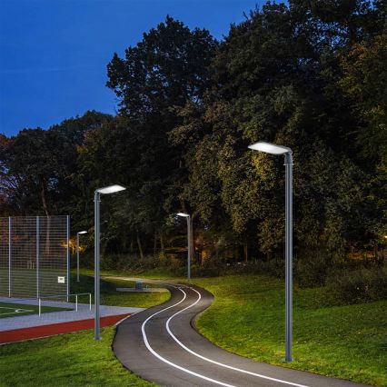 Brilagi - LED āra ielu lampa ar šarnīru URBANLIGHT LED/100W/230V antracīts IP65