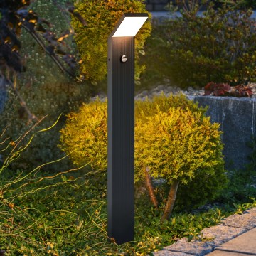 Brilagi - LED āra lampa ar RIANO sensoru LED/8W/230V antracīts IP65
