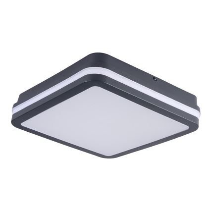 Brilagi - LED Āra lampa BENE LED/24W/230V 26x26 cm antracīta IP54