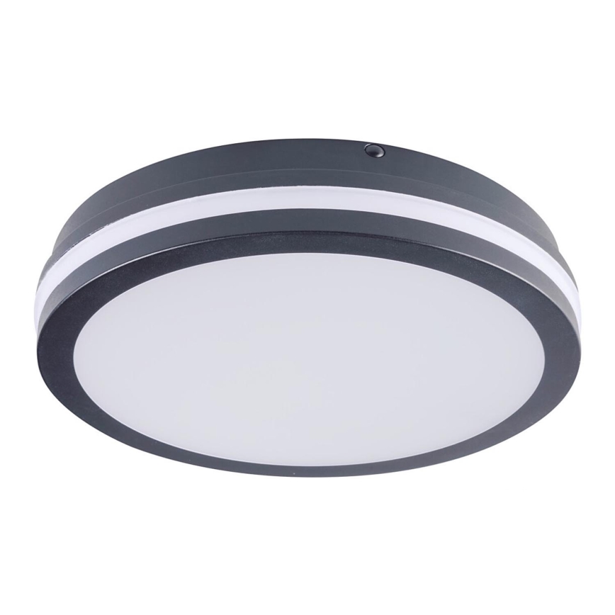 Brilagi - LED Āra lampa BENE LED/24W/230V d. 26 cm antracīta IP54