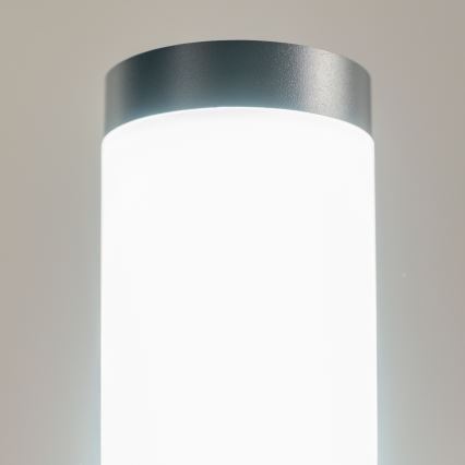 BRILAGI - LED āra lampa ELIA 1xE27/7W/230V 4000K IP44 100 cm antracīts