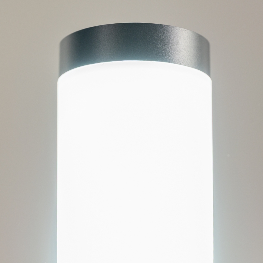 BRILAGI - LED āra lampa ELIA 1xE27/7W/230V 4000K IP44 50 cm antracīts