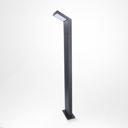 Brilagi - LED āra lampa RIANO LED/8W/230V antracīta IP65 80 cm