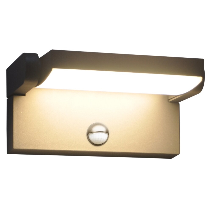 BRILAGI - LED āra sienas gaismeklis ar kustības un krēslas sensoru ANKLE LED/12W/230V IP65 melns