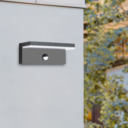 Brilagi - LED āra sienas gaismeklis ar sensoru TESSI LED/10W/230V antracīts IP54