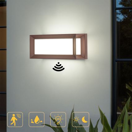 Brilagi - LED āra sienas gaismeklis ar kustību sensoru PARKER LED/12W/230V brūns IP44
