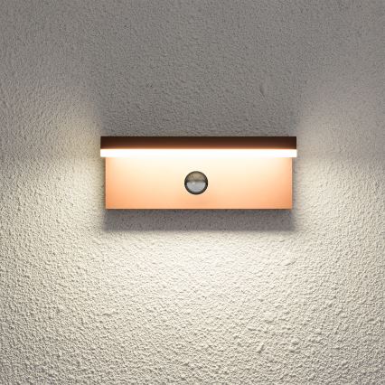 Brilagi - LED āra sienas gaismeklis ar sensoru TESSI LED/10W/230V brūns IP54