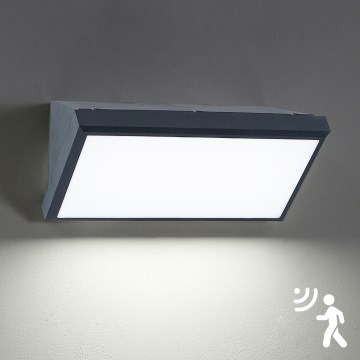 Brilagi - LED āra sienas gaismeklis ar sensoru TRIANGLE LED/20W/230V antracīta IP65