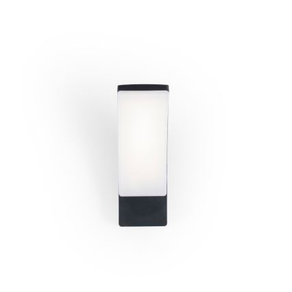 BRILAGI - LED Āra sienas gaismeklis ARCELO LED/12W/230V IP65 melns