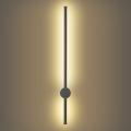 Brilagi - LED āra sienas gaismeklis AURA LED/12W/230V 3000K IP54 65 cm antracīts