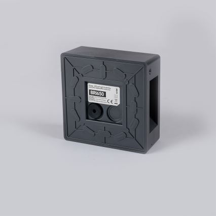 Brilagi - LED āra sienas gaismeklis DOUBLERAY LED/6W/230V antracīts IP54