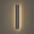 Brilagi - LED āra sienas gaismeklis LINEAR LED/12W/230V 3000K IP65 50 cm antracīts