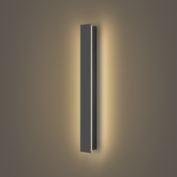 Brilagi - LED āra sienas gaismeklis LINEAR LED/12W/230V 3000K IP65 50 cm antracīts