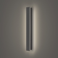 Brilagi - LED āra sienas gaismeklis LINEAR LED/12W/230V 4000K IP65 50 cm antracīts