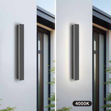 Brilagi - LED āra sienas gaismeklis LINEAR LED/12W/230V 4000K IP65 50 cm antracīts CRI 90