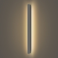 Brilagi - LED āra sienas gaismeklis LINEAR LED/22W/230V 3000K IP65 100 cm antracīts