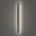 Brilagi - LED āra sienas gaismeklis LINEAR LED/22W/230V 4000K IP65 100 cm antracīts