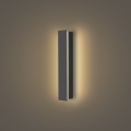 Brilagi - LED āra sienas gaismeklis LINEAR LED/8W/230V 3000K IP65 30 cm antracīts