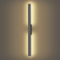 Brilagi - LED āra sienas gaismeklis LUNA LED/24W/230V 3000K IP65 100 cm antracīts