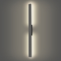 Brilagi - LED āra sienas gaismeklis LUNA LED/24W/230V 4000K IP65 100 cm antracīts
