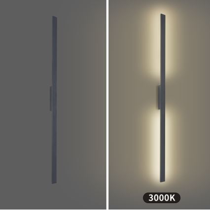 Brilagi - LED āra sienas gaismeklis LUNA LED/30W/230V 3000K IP65 150 cm antracīts CRI 90