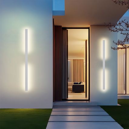Brilagi - LED āra sienas gaismeklis LUNA LED/30W/230V 3000K IP65 150 cm balts CRI 90