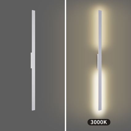 Brilagi - LED āra sienas gaismeklis LUNA LED/30W/230V 3000K IP65 150 cm balts CRI 90