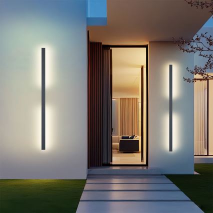 Brilagi - LED āra sienas gaismeklis LUNA LED/30W/230V 4000K IP65 150 cm antracīts CRI 90