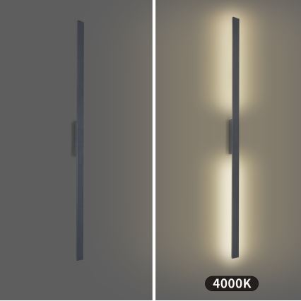 Brilagi - LED āra sienas gaismeklis LUNA LED/30W/230V 4000K IP65 150 cm antracīts CRI 90