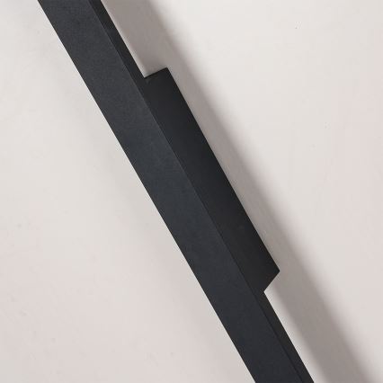 Brilagi - LED āra sienas gaismeklis LUNA LED/30W/230V 4000K IP65 150 cm melns CRI 90