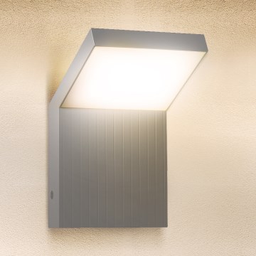 Brilagi - LED āra sienas gaismeklis RIANO LED/8W/230V sudraba IP65
