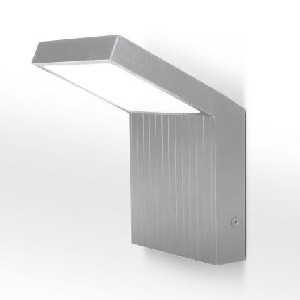 Brilagi - LED āra sienas gaismeklis RIANO LED/8W/230V sudraba IP65
