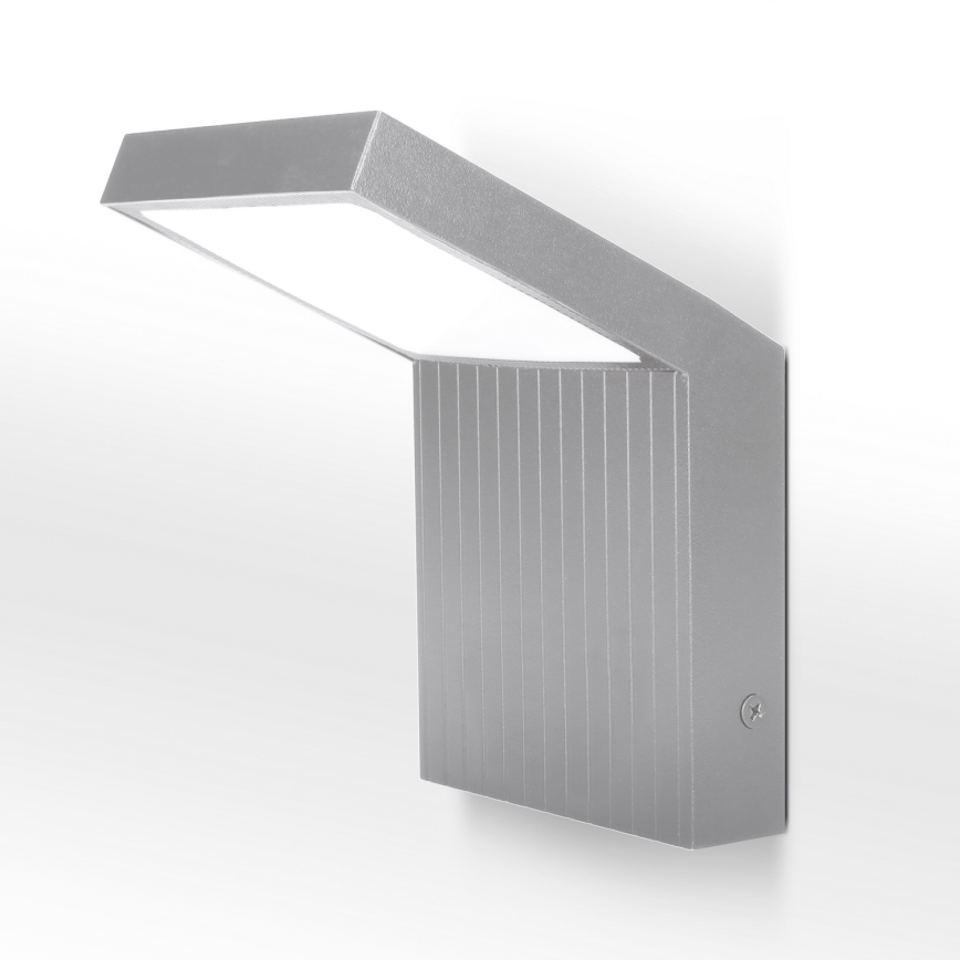 Brilagi - LED āra sienas gaismeklis RIANO LED/8W/230V sudraba IP65