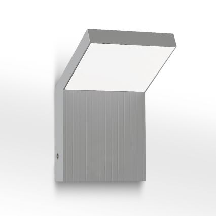 Brilagi - LED āra sienas gaismeklis RIANO LED/8W/230V sudraba IP65