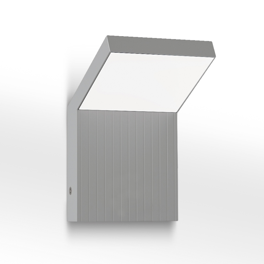 Brilagi - LED āra sienas gaismeklis RIANO LED/8W/230V sudraba IP65