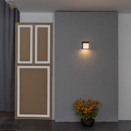 BRILAGI - LED āra sienas gaismeklis TERNI LED/12W/230V brūns IP44
