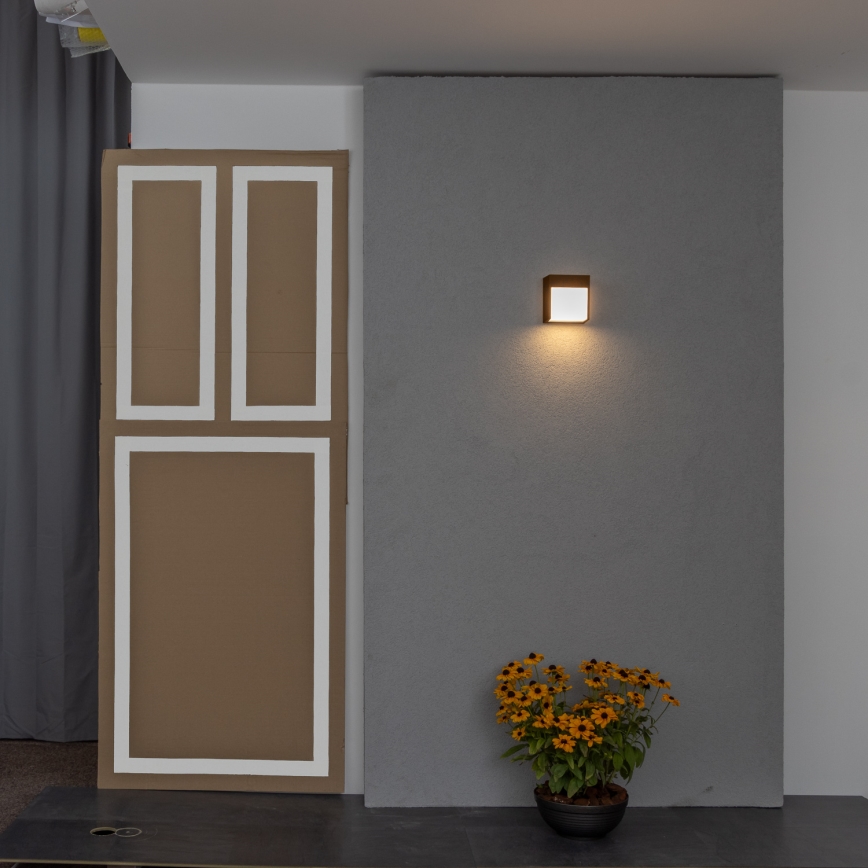 BRILAGI - LED āra sienas gaismeklis TERNI LED/12W/230V brūns IP44