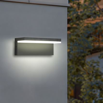 Brilagi - LED āra sienas gaismeklis TESSI LED/10W/230V antracīts IP54