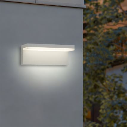 Brilagi - LED āra sienas gaismeklis TESSI LED/10W/230V balta IP54