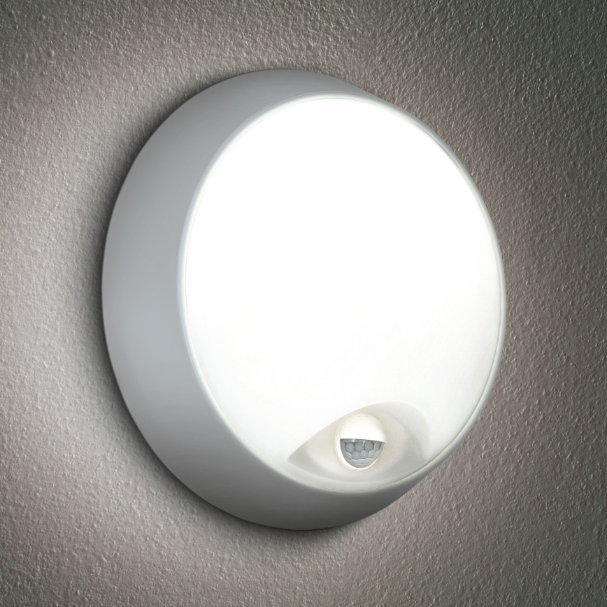 Brilagi - LED Āra sienas lampa ar sensoru 2in1 BULKHEAD LED/20W/230V IP65
