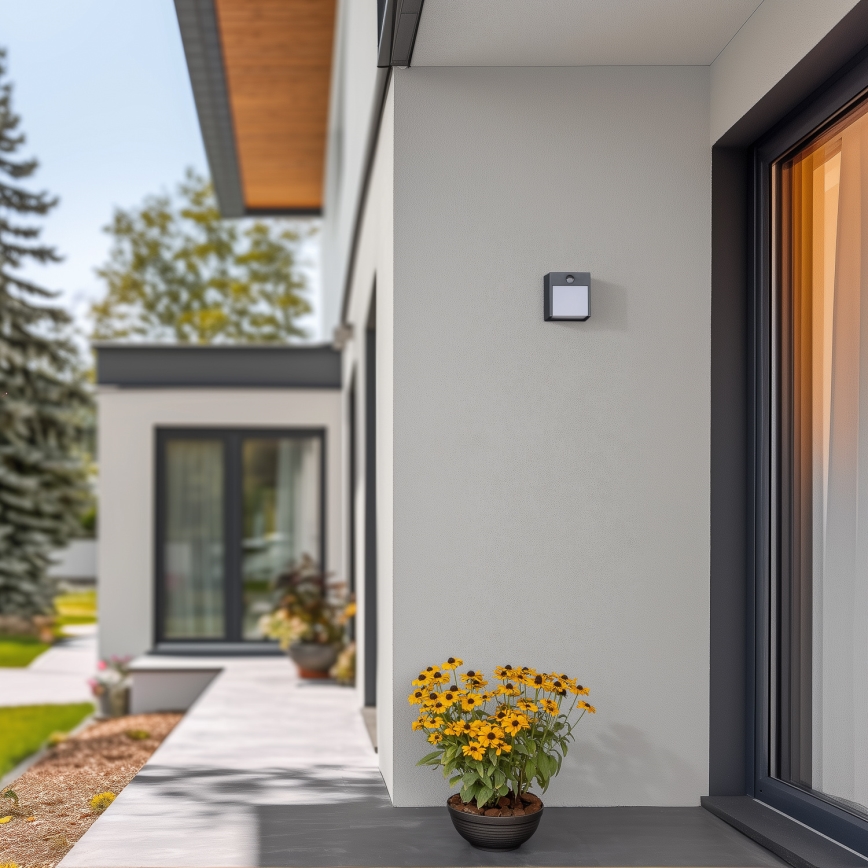 Brilagi - LED Āra sienas lampa ar sensoru TERNI LED/12W/230V antracīta IP44
