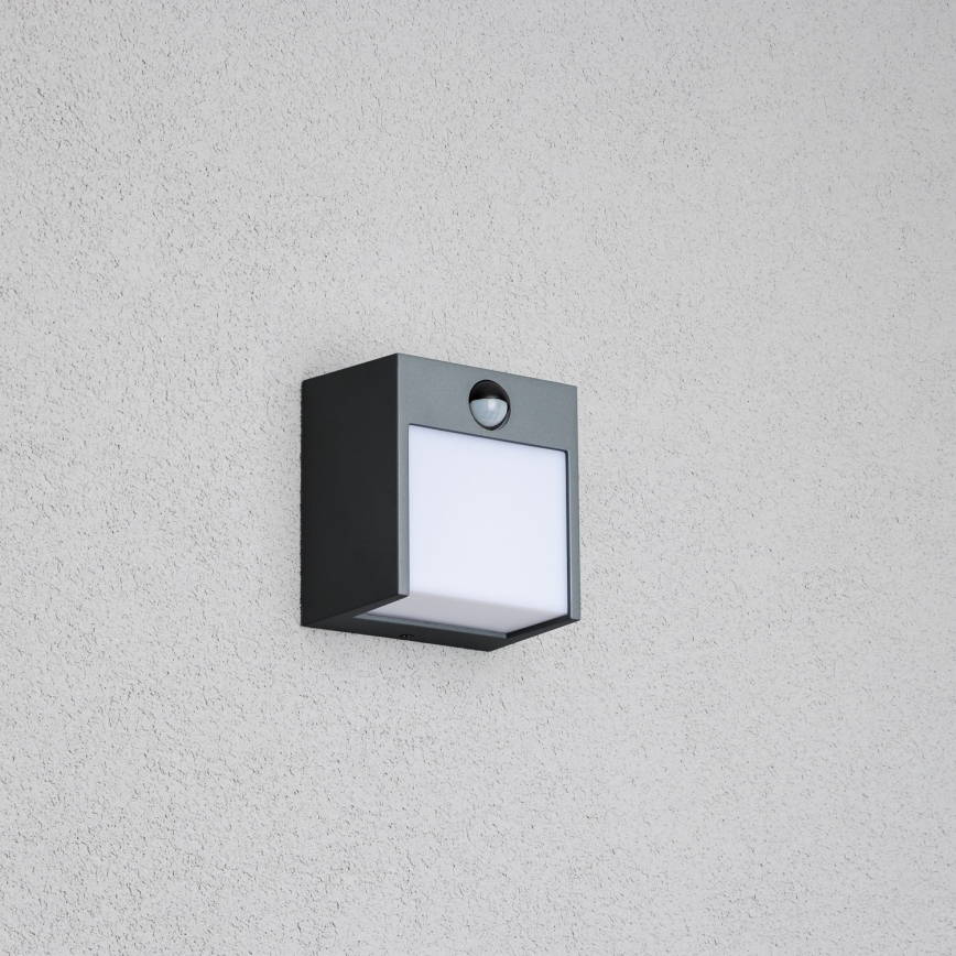 Brilagi - LED Āra sienas lampa ar sensoru TERNI LED/12W/230V antracīta IP44