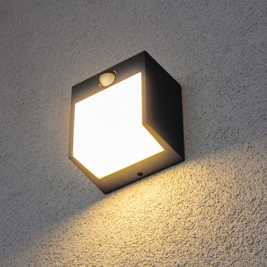 Brilagi - LED Āra sienas lampa ar sensoru TERNI LED/12W/230V antracīta IP44