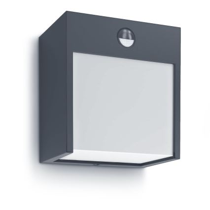 Brilagi - LED Āra sienas lampa ar sensoru TERNI LED/12W/230V antracīta IP44