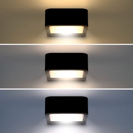 Brilagi - LED Āra sienas lampa BARI LED/7W/230V 3000/4000/6000K IP54