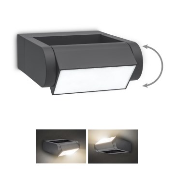 Brilagi - LED Āra sienas lampa CROTONE LED/7W/230V antracīta IP54