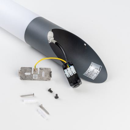 BRILAGI - LED dimējama āra sienas lampa ELIA 1xE27/6W/230V 2700-6500K IP44 Wi-Fi antracīts