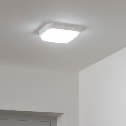 Brilagi - LED Āra sienas lampa LED/20W/230V IP54